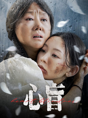 心盲（100集）排行榜前十短剧