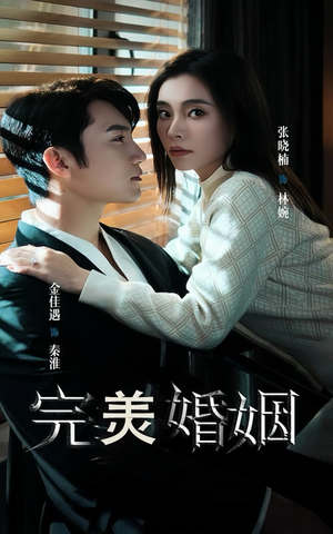 完美婚姻（65集）短剧