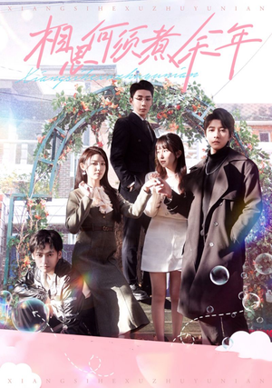 相思何须煮余年（33集）热门短剧抢先