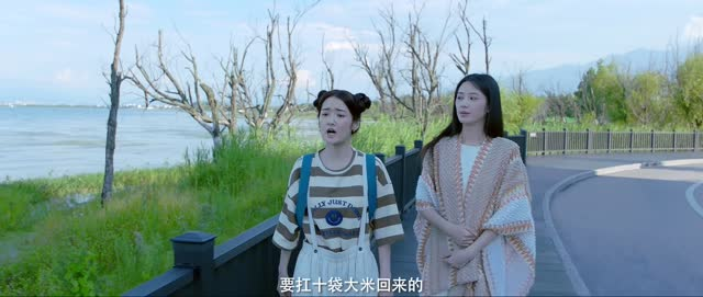 向北的遗憾（20集）在线观看