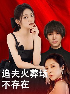 追夫火葬场不存在（100集）好看的短剧