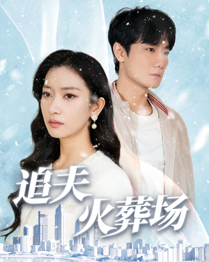 追夫火葬场（31集）高分推荐免费看