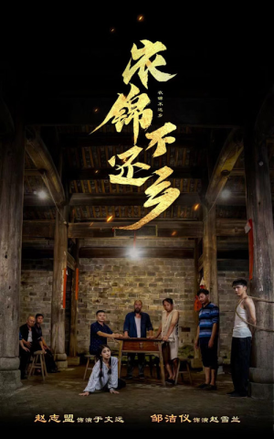 衣锦不还乡（69集）全季一次看完