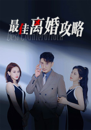 最佳离婚攻略（31集）免费短剧推荐