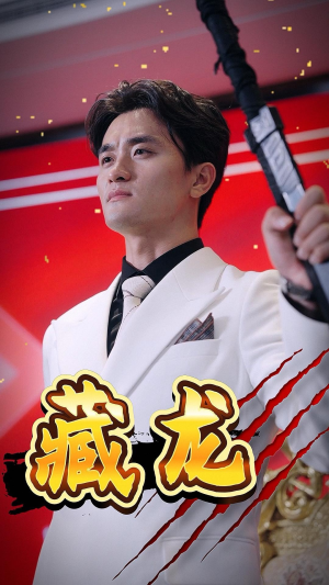 藏龙（30集）好看短剧抢先看