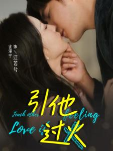 引他过火（40集）番茄免费短剧