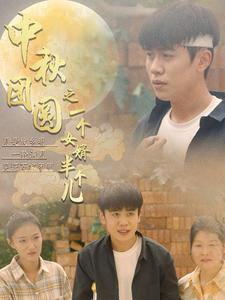 中秋团圆之一个女婿半个儿（33集）短剧排行榜