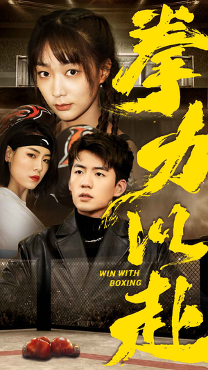 拳力以赴（80集）简直不要太好看