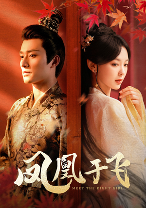 凤凰于飞（79集）海量短剧免费看