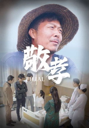 敬孝（61集）全集完整版