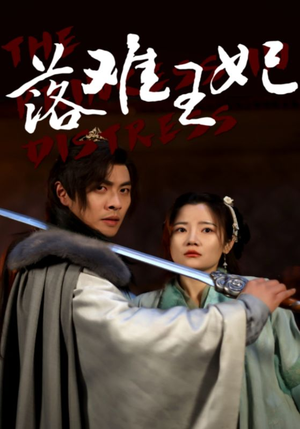 落难王妃（70集）1-102集