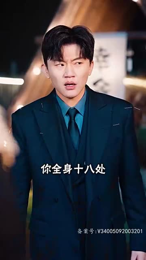 2.独霸天下（100集）让你一口气看完