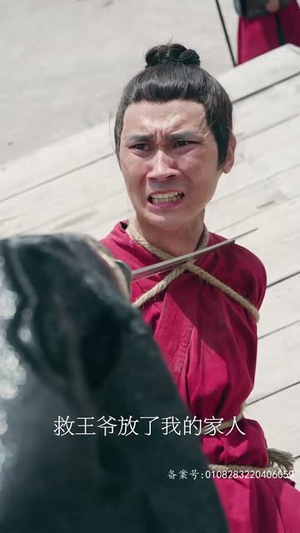 王行天下（100集）番茄短剧免费看