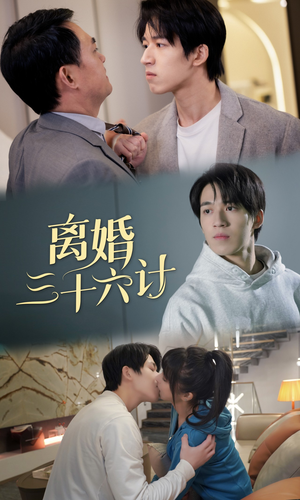 离婚三十六计（96集）最后的大结局