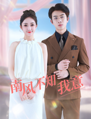 南风不知我意（81集）热门短剧又来了