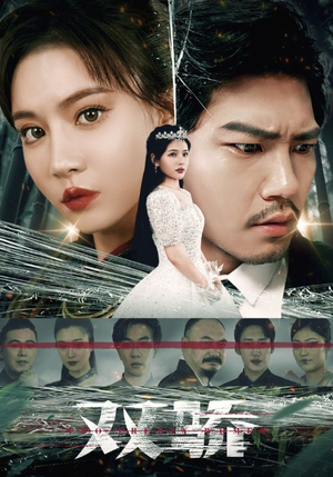 双骄（66集）在线免费观看