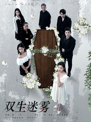 双生迷雾（80集）短剧演员排行榜