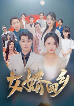 女婿回乡（120集）海量资源免费看