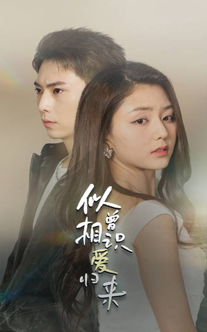 似曾相识爱归来（77集）短剧完整版免费