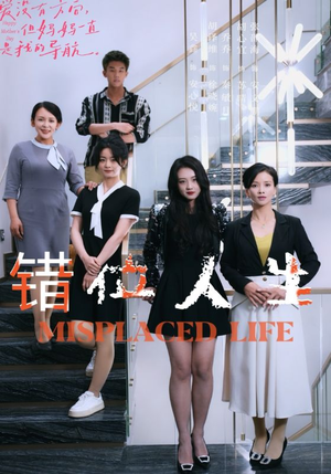 错位人生（89集）红果免费看短剧