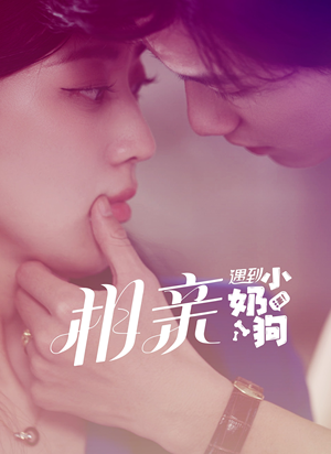 相亲遇到小奶狗（80集）这部短剧我爱了