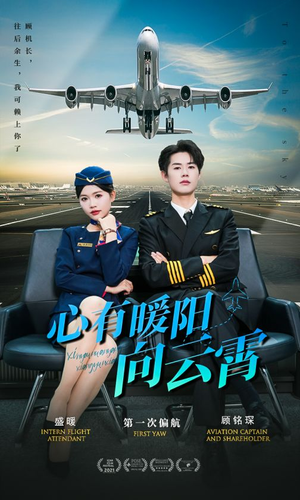 心有暖阳向云霄（36集）在线看