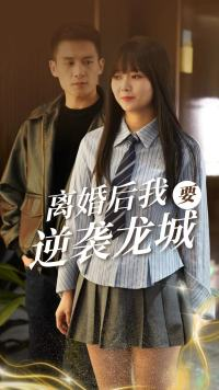 离婚后我要逆袭龙城（90集）无需充值尽情看