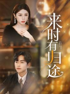 来时有归途（97集）精彩短剧下载