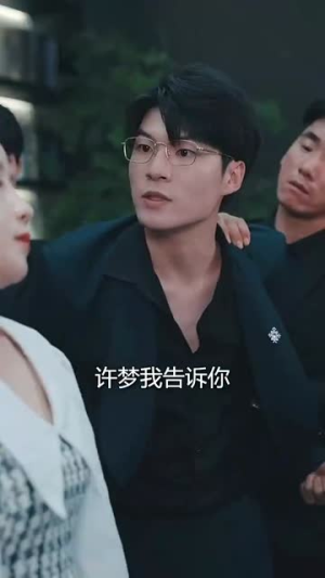 女老板的复仇（33集）短剧免费看