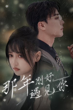 那年刚好遇见你（62集）短剧小说在线看
