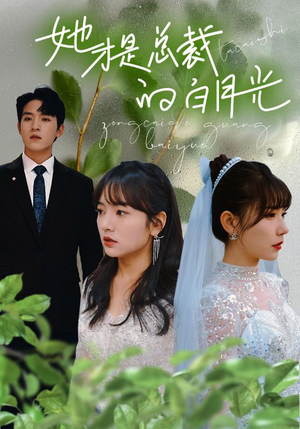她才是总裁的白月光（90集）免费观看全集