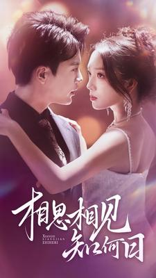 相思相见知何日（81集）看精彩短剧