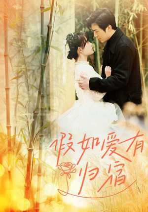 假如爱有归宿（73集）高清无码免费看