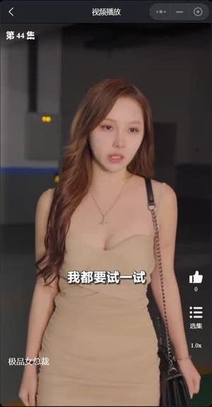 我的富豪美女总裁（我的极品女总裁）最火的短剧
