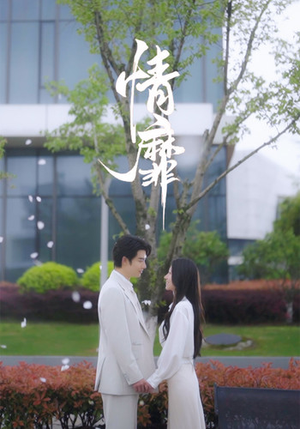 情靡（92集）最火短剧热播中