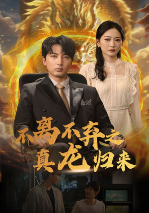不离不弃之真龙归来（73集）热门短剧推荐
