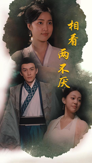 这个王妃不好惹（85集）短剧推荐来了