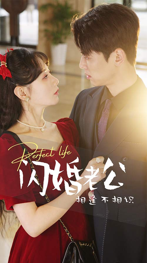 闪婚老公相逢不相识（90集）全剧免费观看