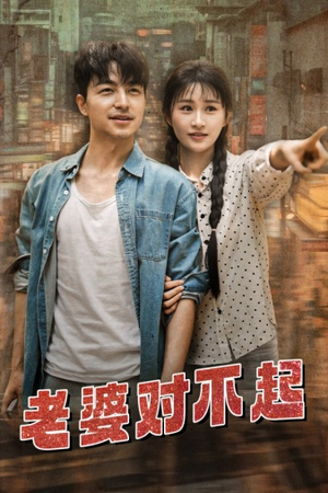 老婆对不起（81集）热门火爆短剧