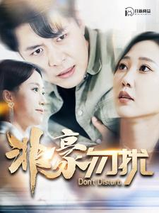 非豪勿扰（100集）好看短剧追不停