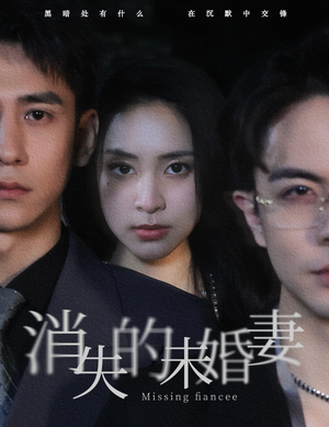 消失的未婚妻（82集）全集免费