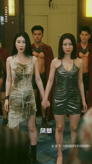 特工凤凰（绝色特工）在哪个平台看好