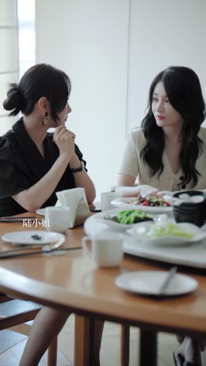 二十九（66集）观看软件