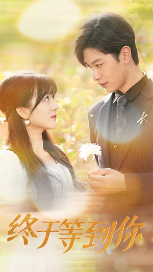 你是我的木槿年华（80集）女频短剧推荐