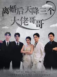 离婚后天降三个大佬哥哥（83集）免费观看