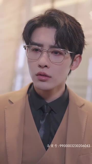 贺总离婚请签字（100集）无需会员免费看