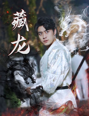 藏龙（74集）短剧全集免费