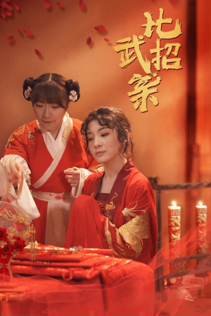 比武招亲（61集）全集一次看完