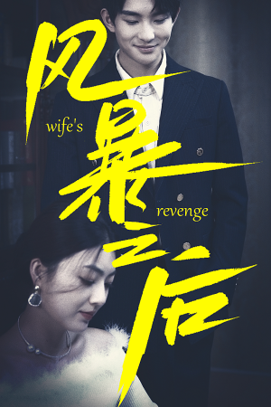 风暴之后（80集）精彩短剧上线