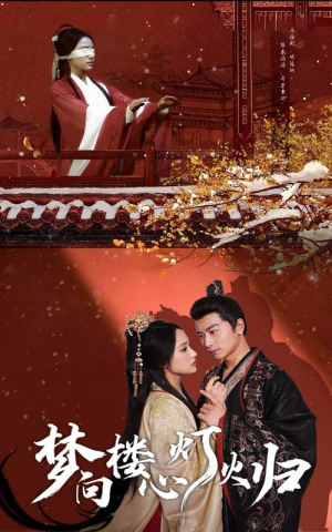 梦向楼心灯火归（37集）无需会员轻松看